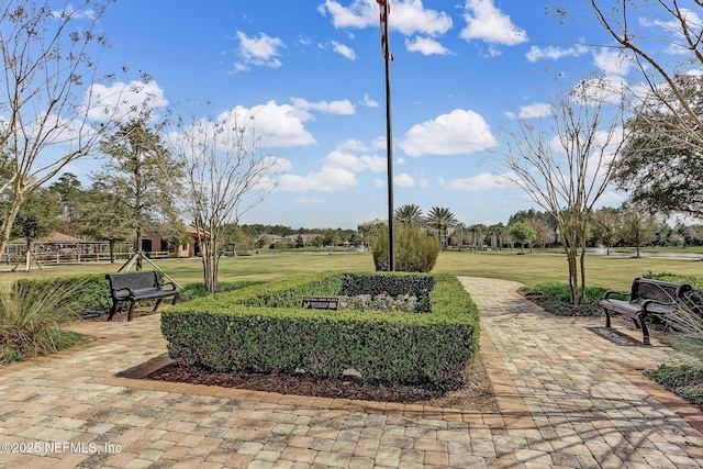 view of community with a yard