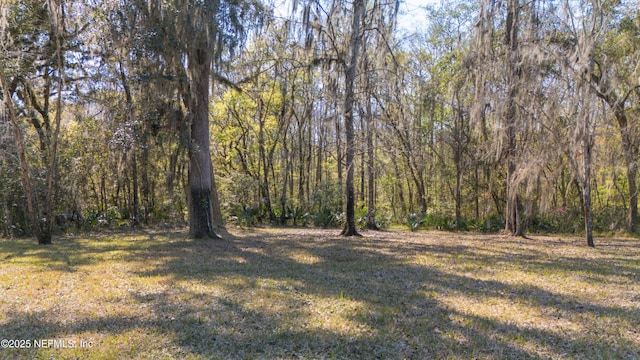 view of yard featuring a forest view