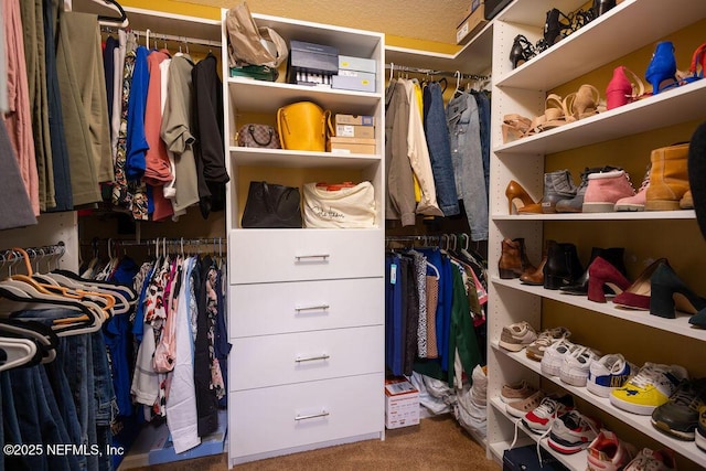 spacious closet with carpet floors