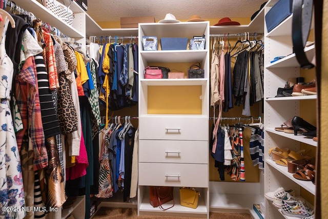 view of walk in closet