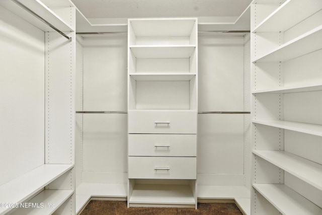 75250 Fern Creek Dr, Yulee, FL 32097 - view of spacious closet