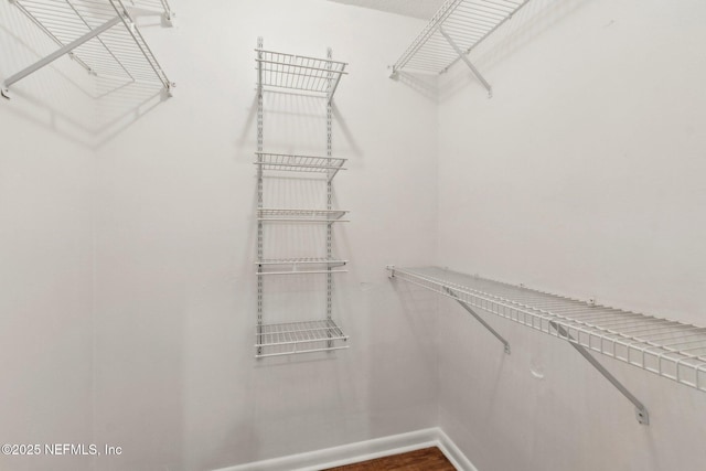 spacious closet with dark wood finished floors