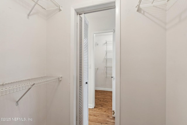 walk in closet with light wood finished floors