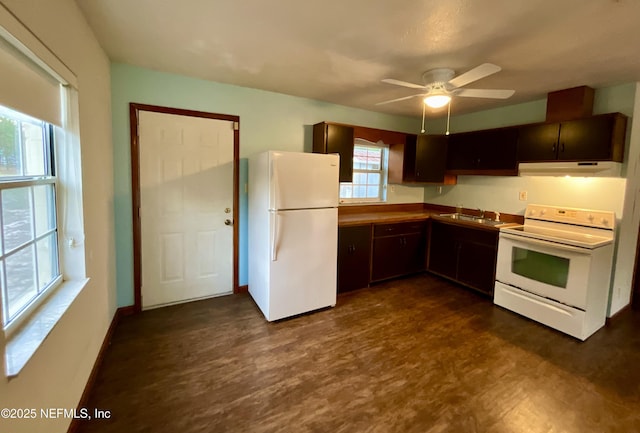 kitchen featuring dark brown cabinetry, white appliances, dark floors, under cabinet range hood, and a sink