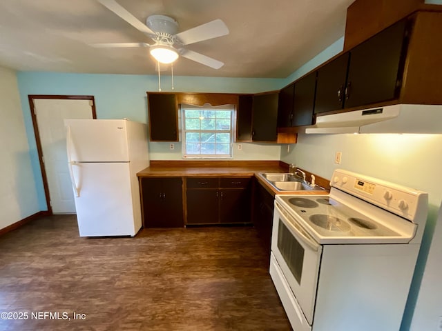 kitchen featuring white appliances, ceiling fan, range hood, dark brown cabinets, and a sink