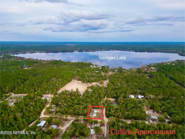 aerial view with a water view and a view of trees