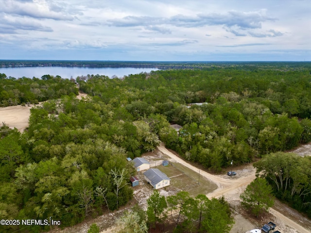 bird's eye view with a water view and a forest view