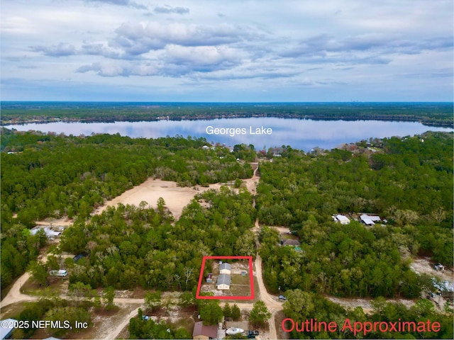 bird's eye view with a water view and a view of trees