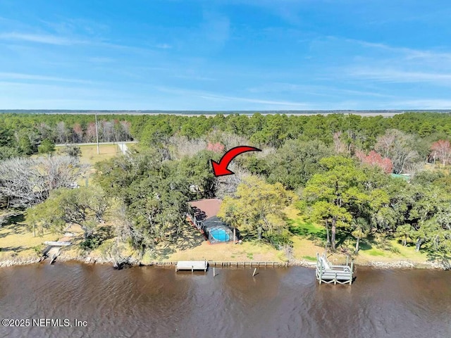 birds eye view of property with a water view and a wooded view