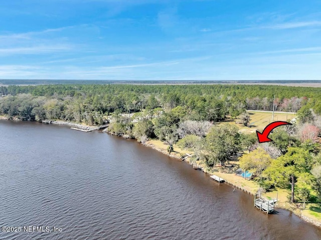 birds eye view of property with a water view and a view of trees