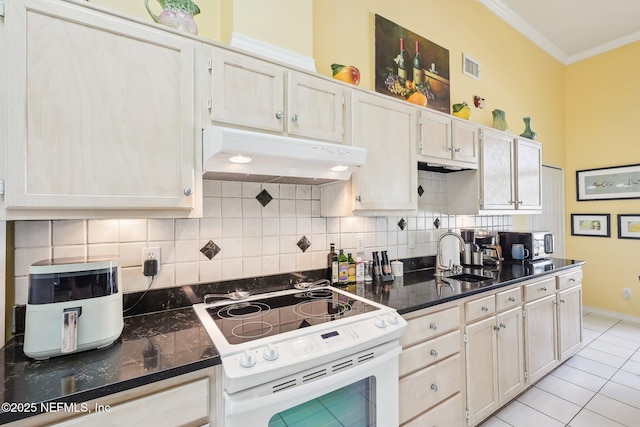 kitchen with white electric stove, backsplash, ornamental molding, a sink, and under cabinet range hood