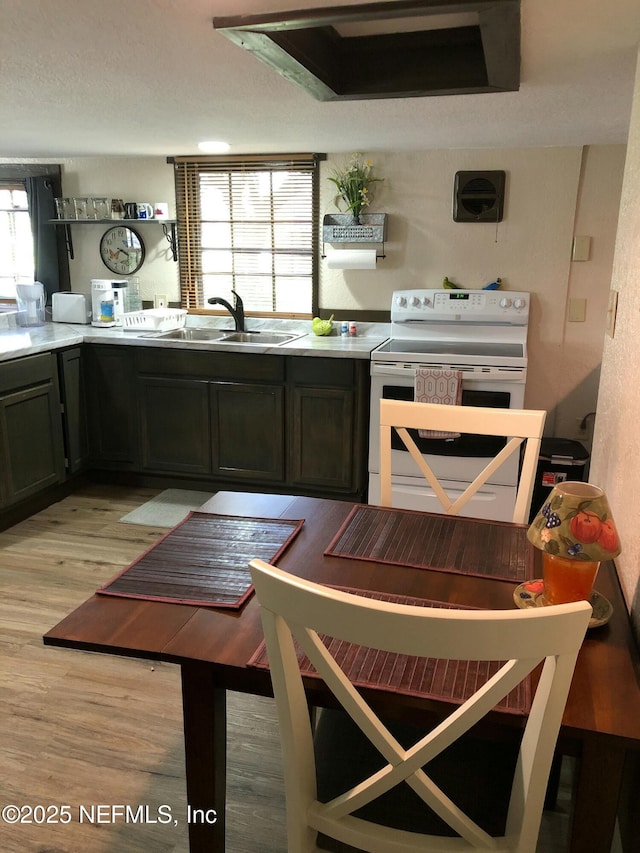 kitchen featuring light wood-style flooring, a sink, electric stove, light countertops, and range hood