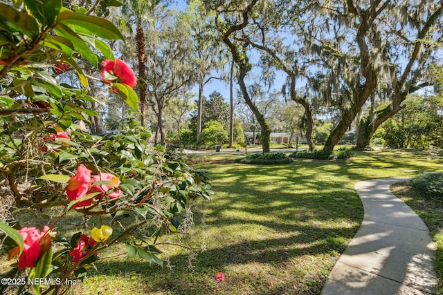 view of community featuring a lawn