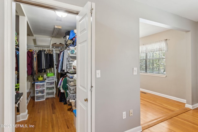 walk in closet featuring wood finished floors