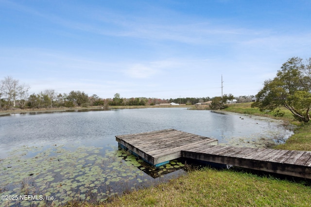 view of dock with a water view