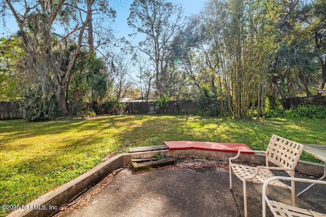 view of yard featuring a patio area and a fenced backyard