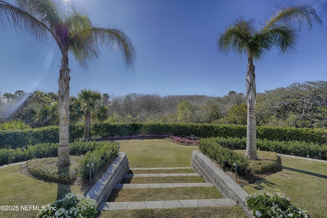 view of yard featuring a wooded view