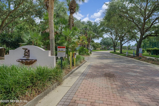 view of road with curbs