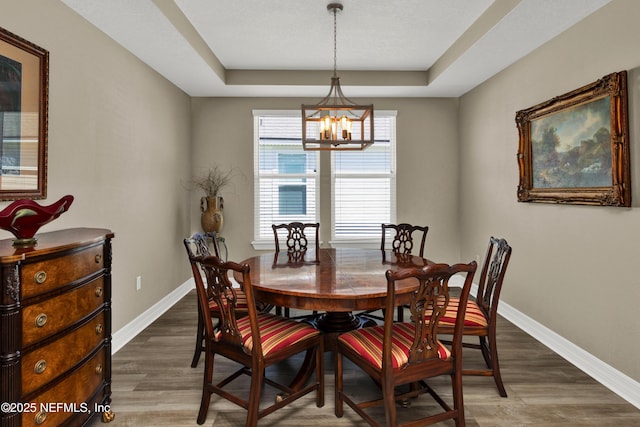 dining room with a chandelier, wood finished floors, a raised ceiling, and baseboards