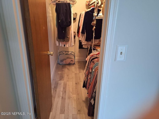 spacious closet with wood-type flooring