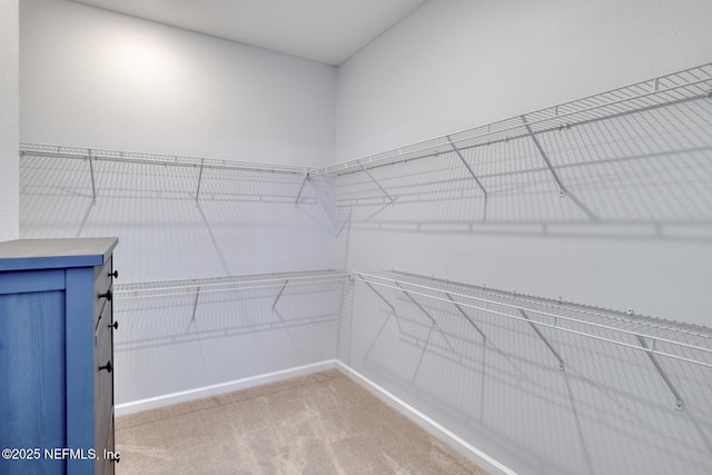 walk in closet with light colored carpet