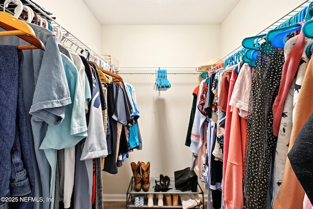 view of spacious closet