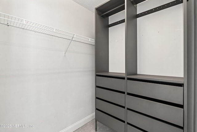 spacious closet featuring carpet