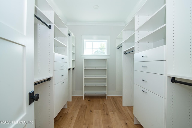 spacious closet featuring light wood-type flooring