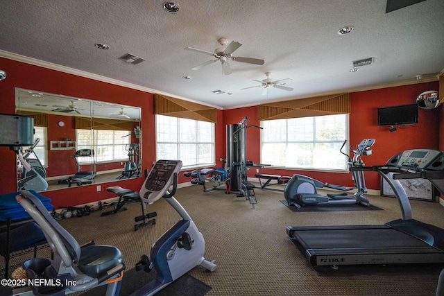 gym featuring visible vents, a textured ceiling, and crown molding