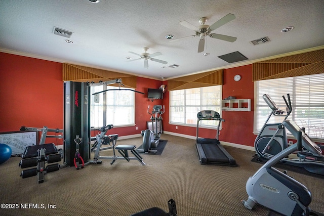 exercise room featuring crown molding, baseboards, visible vents, and a textured ceiling