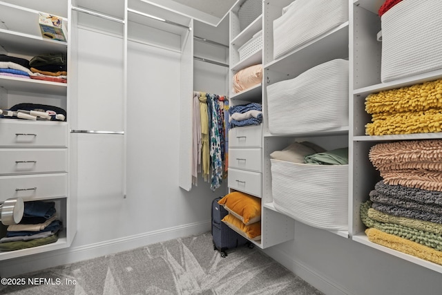 spacious closet featuring carpet flooring