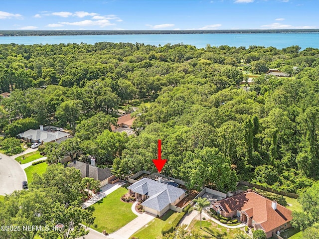 aerial view with a water view and a view of trees