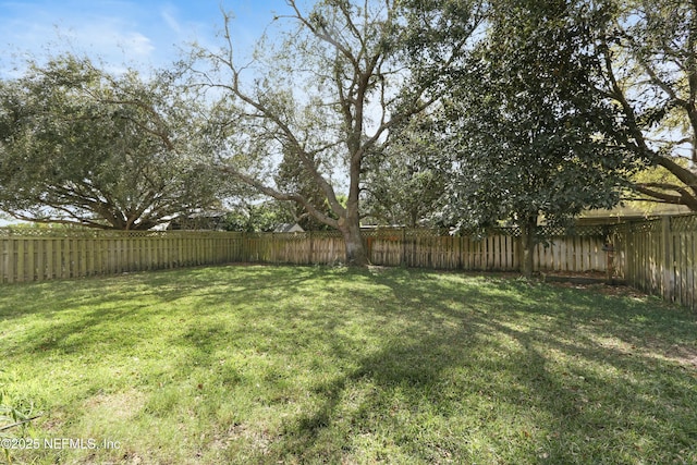 view of yard featuring a fenced backyard