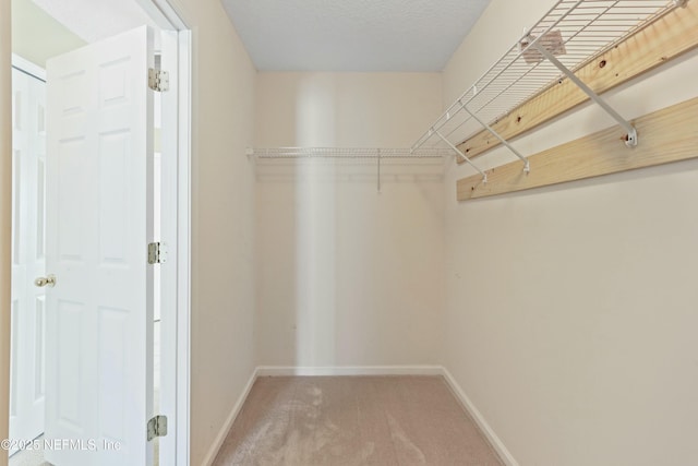 walk in closet featuring carpet