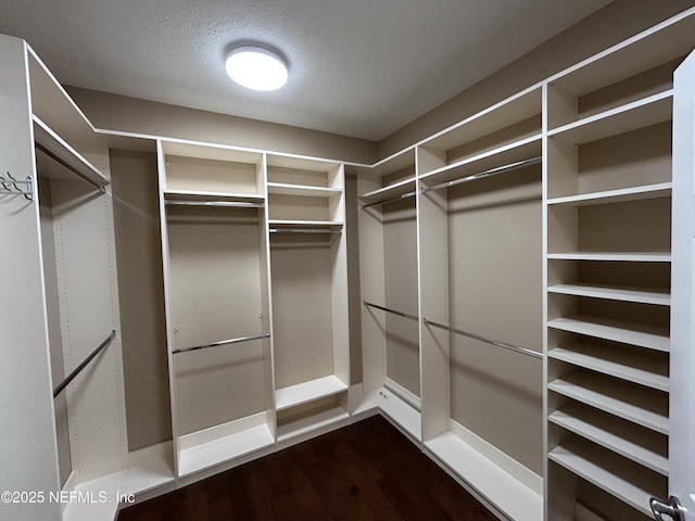 walk in closet featuring dark wood-style flooring