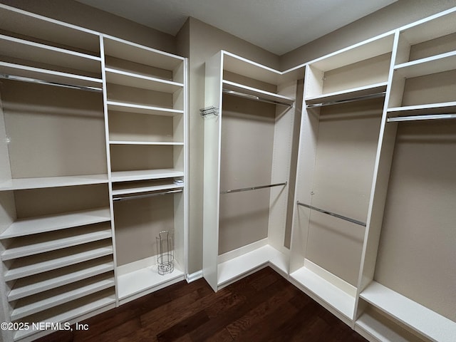 spacious closet with dark wood finished floors