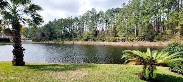 property view of water