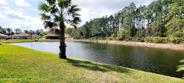 view of water feature