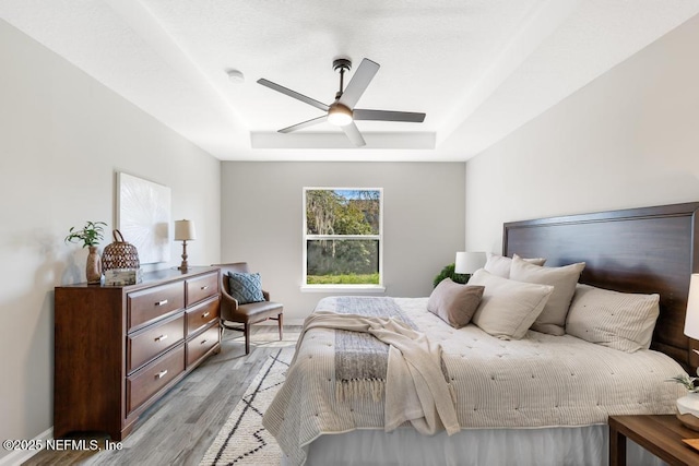 bedroom with light wood finished floors, ceiling fan, and a tray ceiling