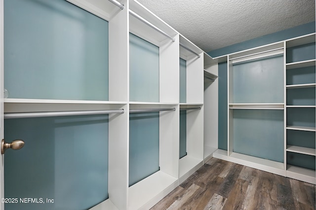 walk in closet with dark wood-type flooring