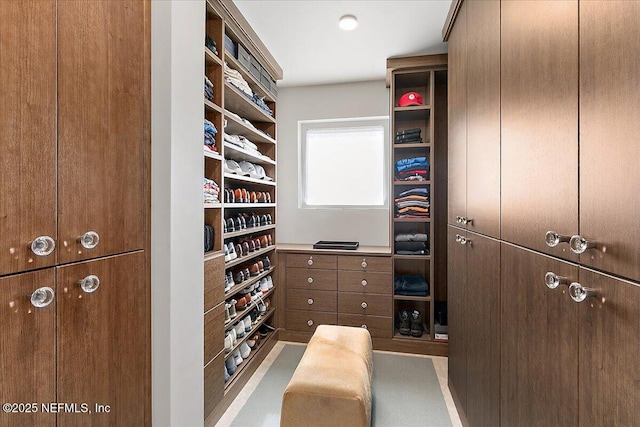 view of walk in closet