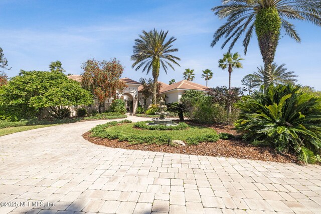 236 Deer Haven Dr, Ponte Vedra Beach, FL 32082 - view of patio featuring curved driveway