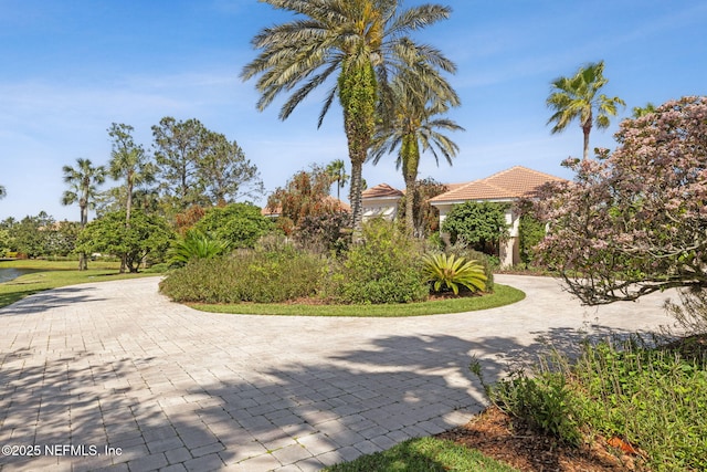 236 Deer Haven Dr, Ponte Vedra Beach, FL 32082 - view of home's community