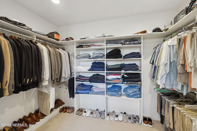 236 Deer Haven Dr, Ponte Vedra Beach, FL 32082 - view of spacious closet