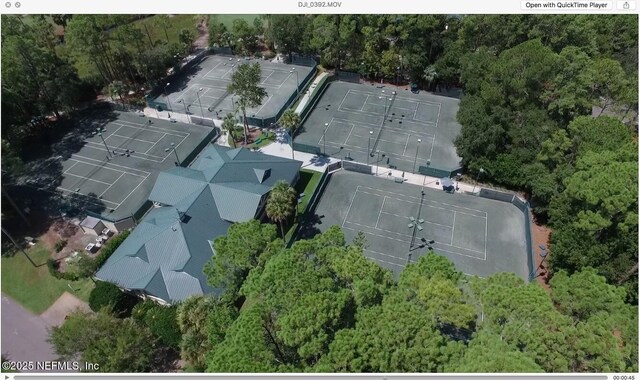 236 Deer Haven Dr, Ponte Vedra Beach, FL 32082 - bird's eye view