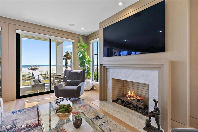 living area featuring a fireplace and wood finished floors