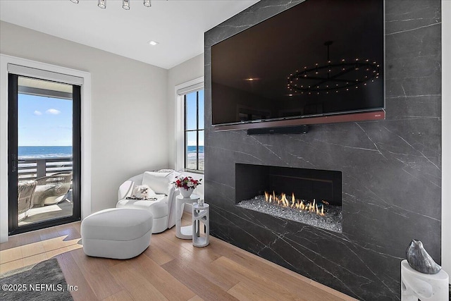 sitting room featuring a premium fireplace and wood finished floors