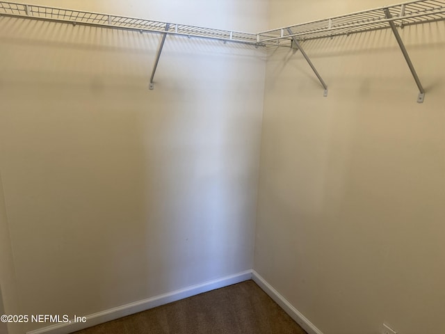 spacious closet featuring dark colored carpet