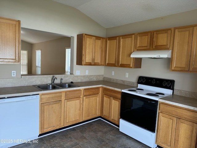 kitchen with dishwasher, electric stove, lofted ceiling, under cabinet range hood, and a sink