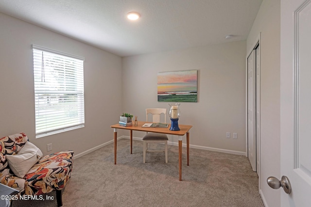 office space with baseboards and carpet flooring